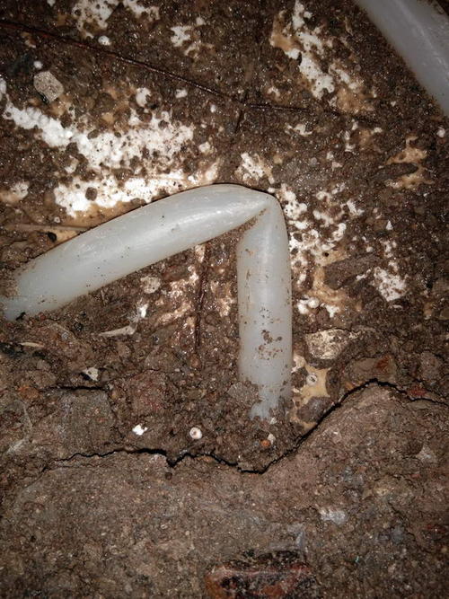 疏勒堵点精准查找